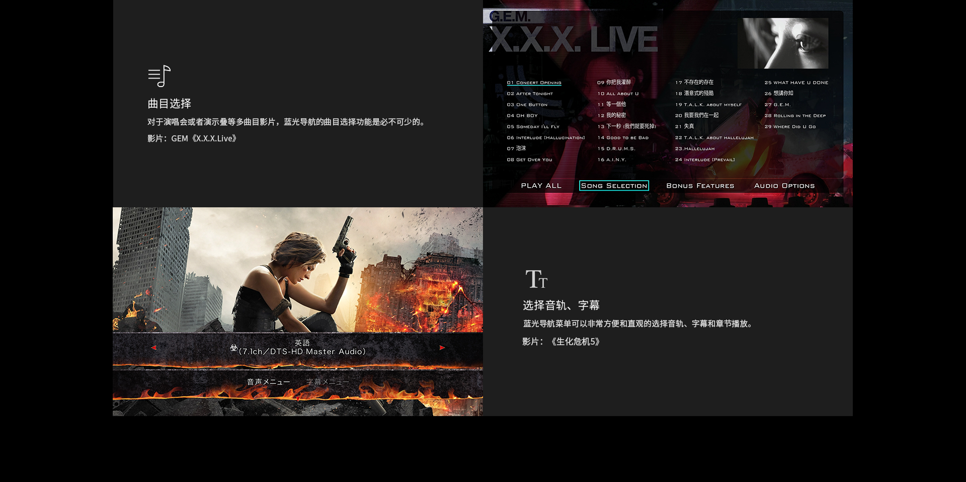 A13 家用播放机 A13 家用播放机